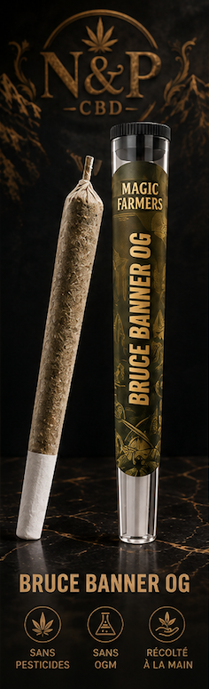 PREROLL BRUCE BANNER OG MAGIC SAUCE