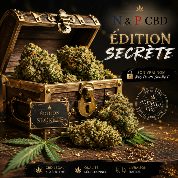 Édition secrète CBD