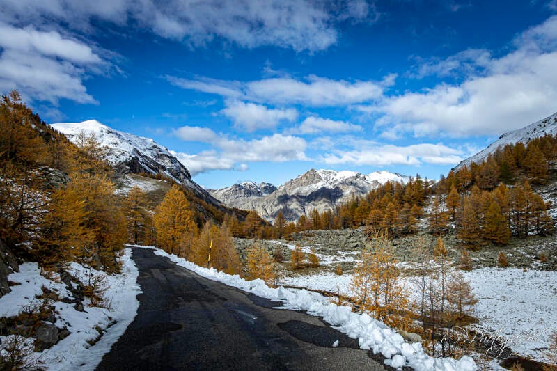 between winter and light