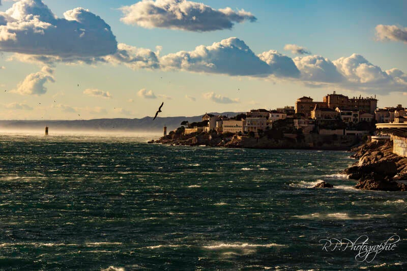 cite facing the wind