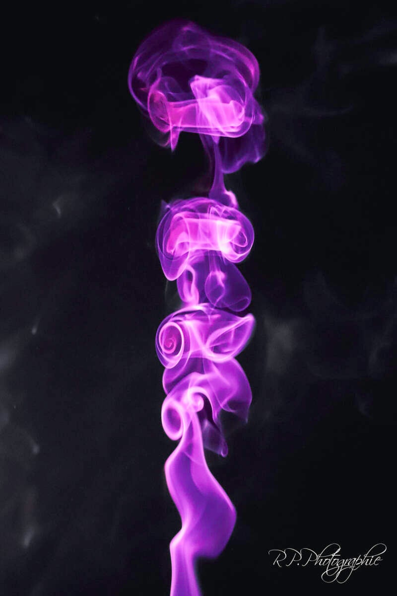 the song of the volutes