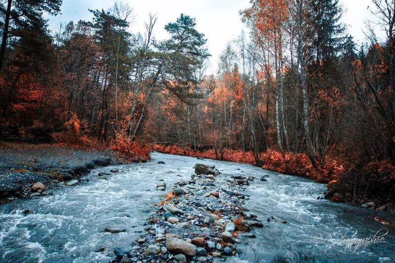 the colors of silence 01