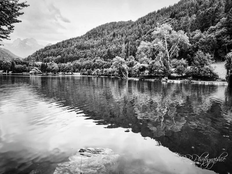 the silence of the lake