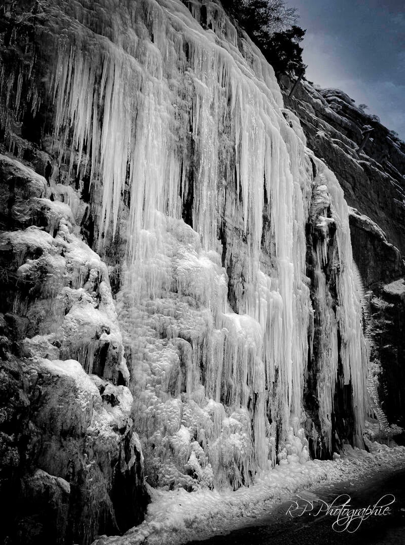 time suspended in ice