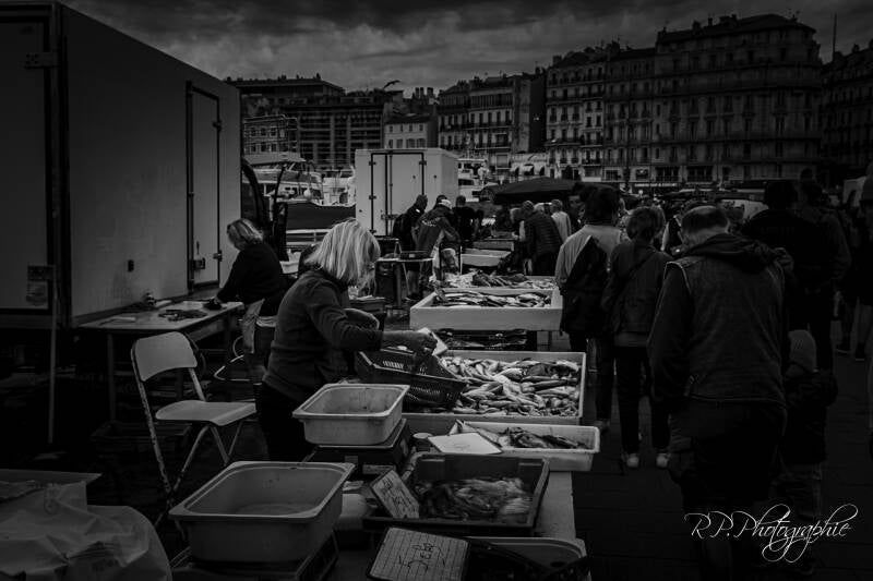walk to fish vieux port Marseille 01