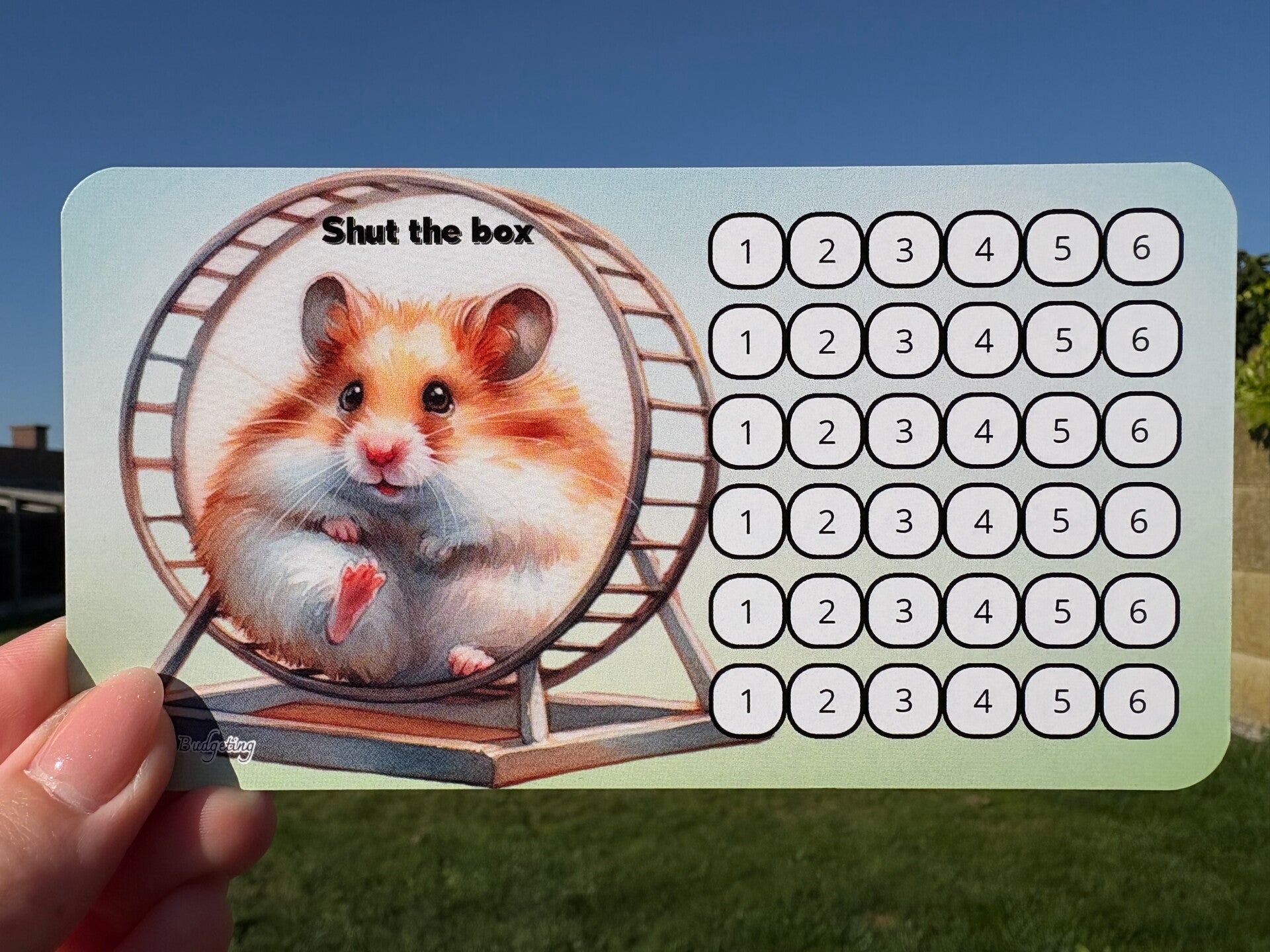 Shut the box hamster