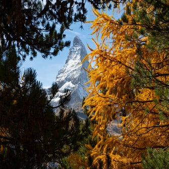 belle-vue-sur-le-paysage-avec-matterhorn-en-automne-a-zermatt-suisse-standard.jpg