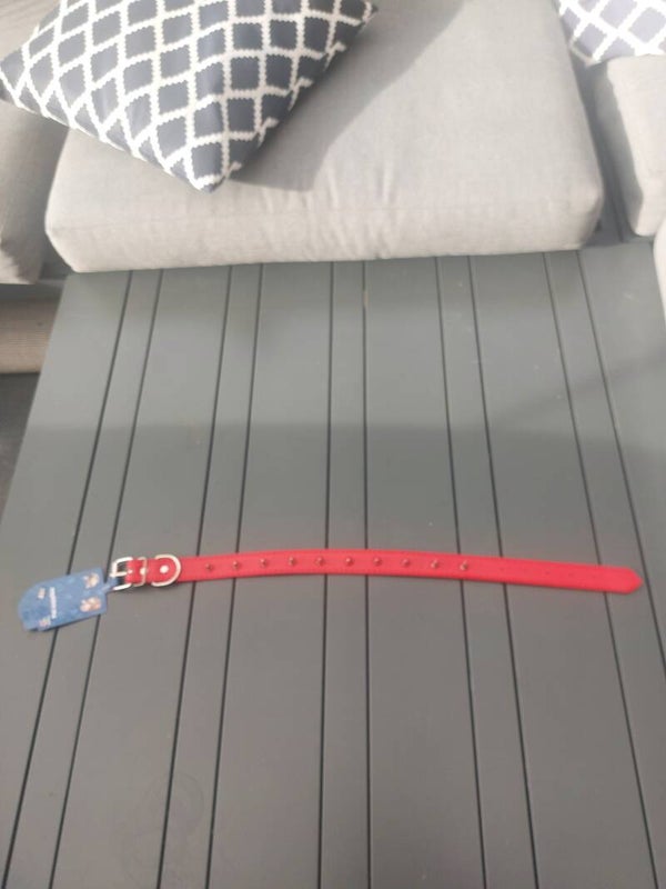 Hondenriem rood met chromen punten NIEUW