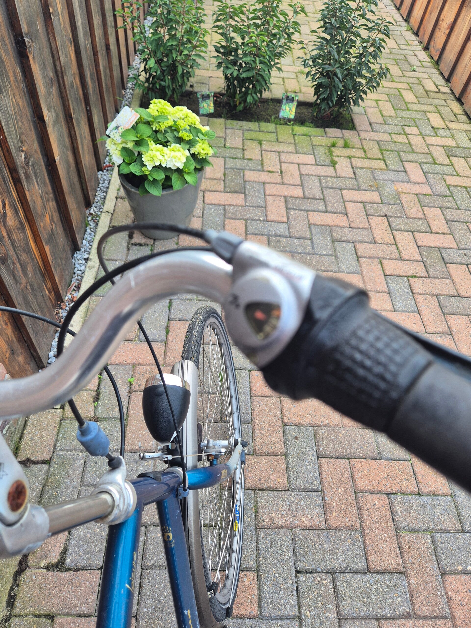 Koga miyata opknapper