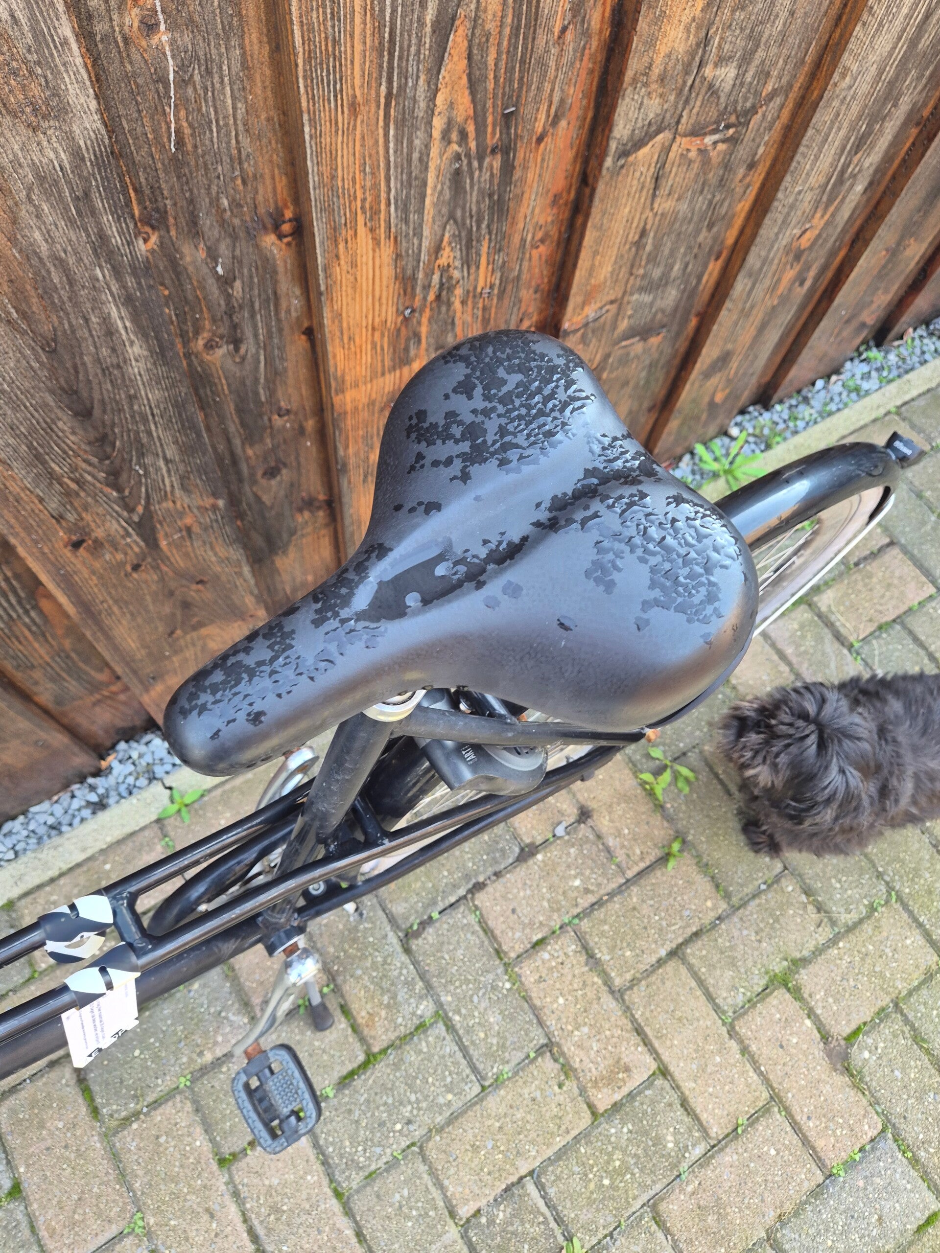 Veloretti damesfiets opknapper