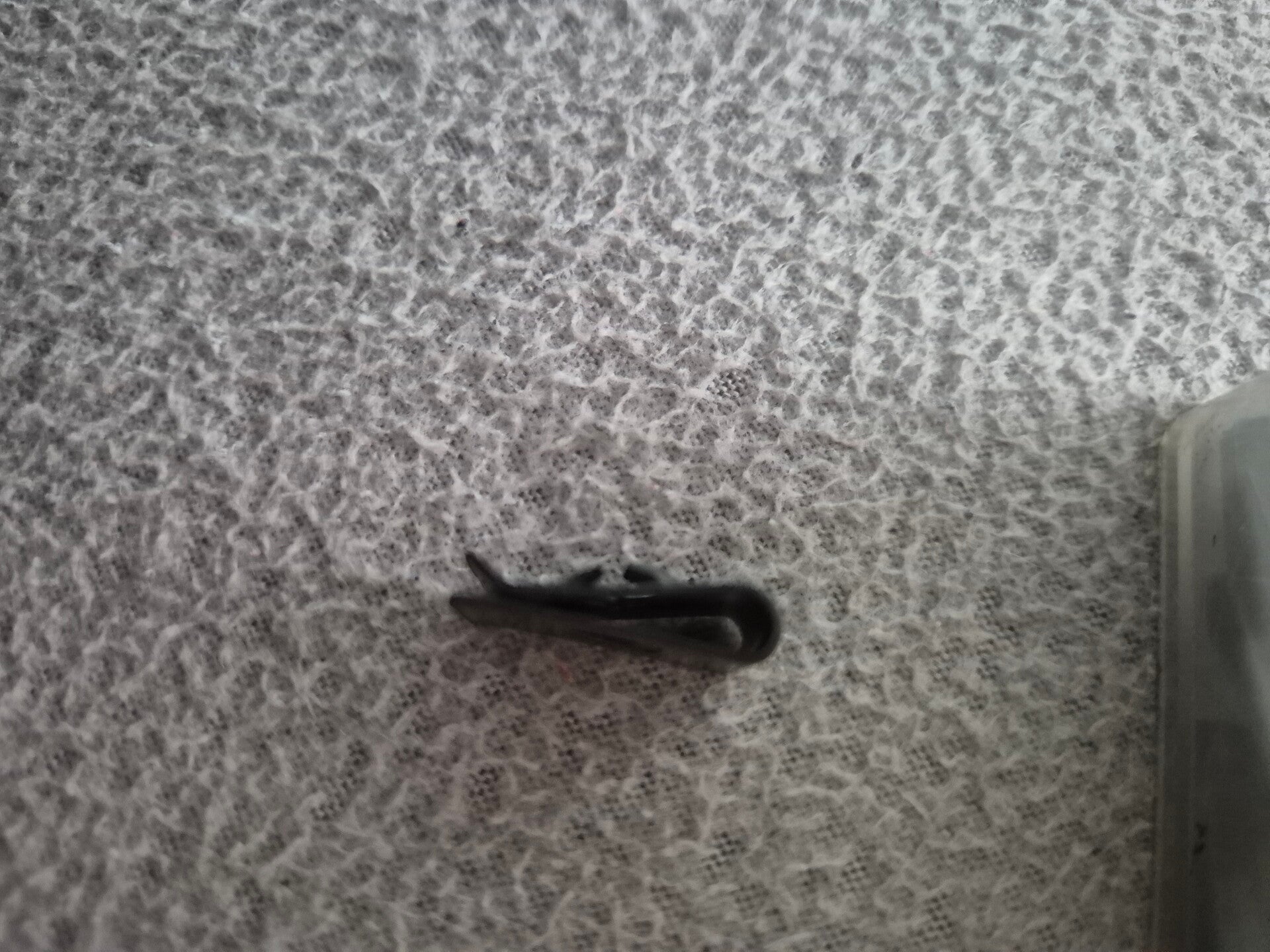 Speednuts 4.8 18 stuks