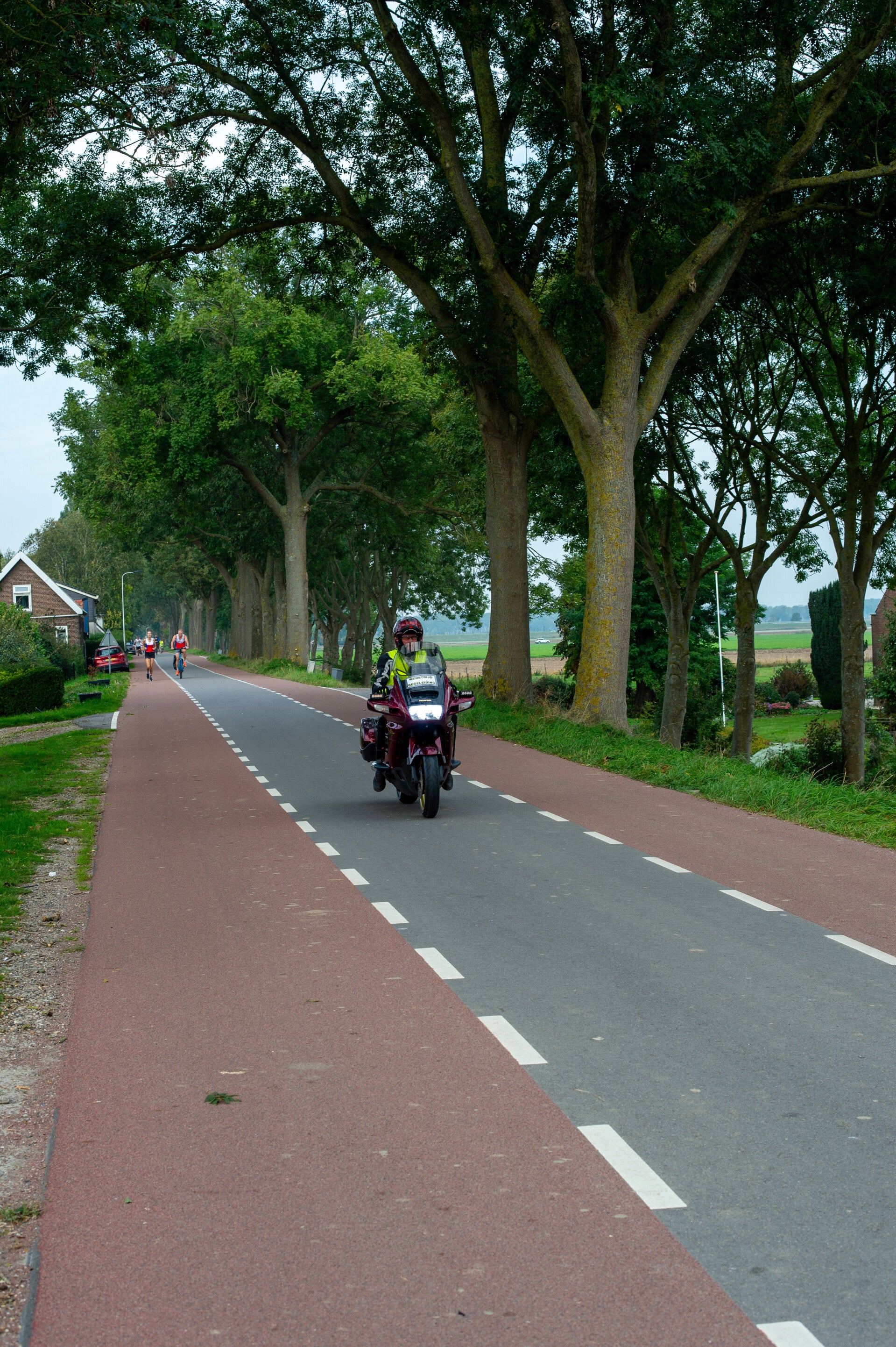 7su_2292-standard.jpg