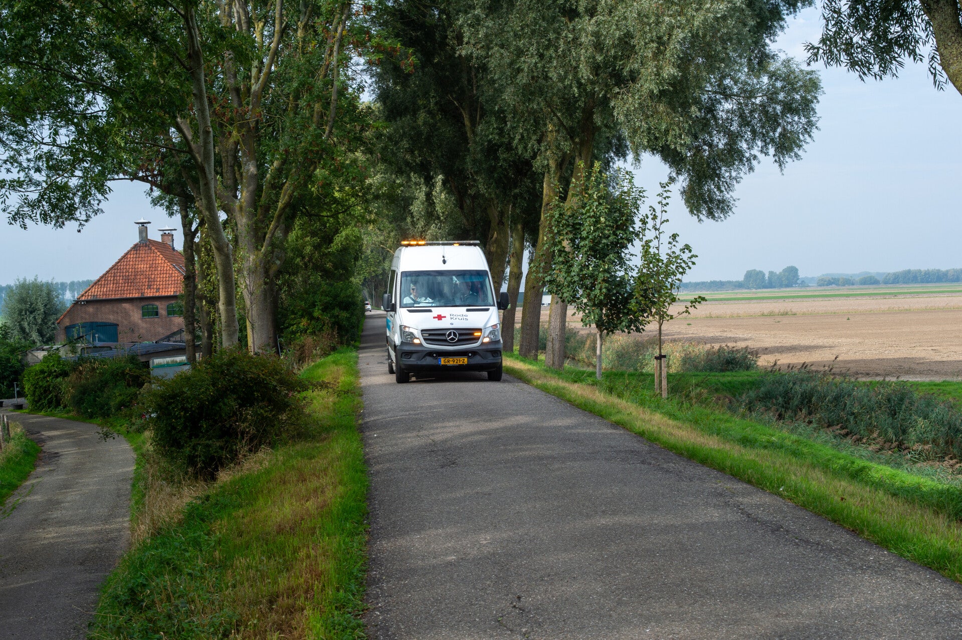 7su_2354-standard.jpg