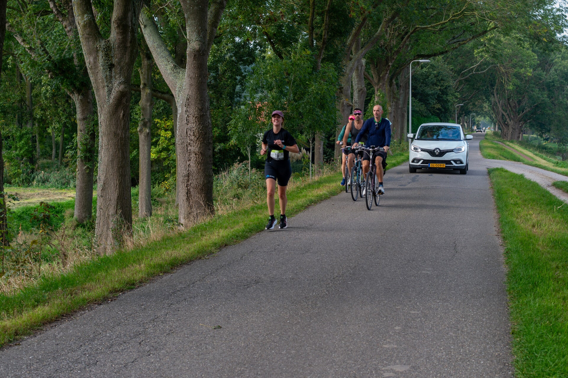 7su_2358-standard.jpg