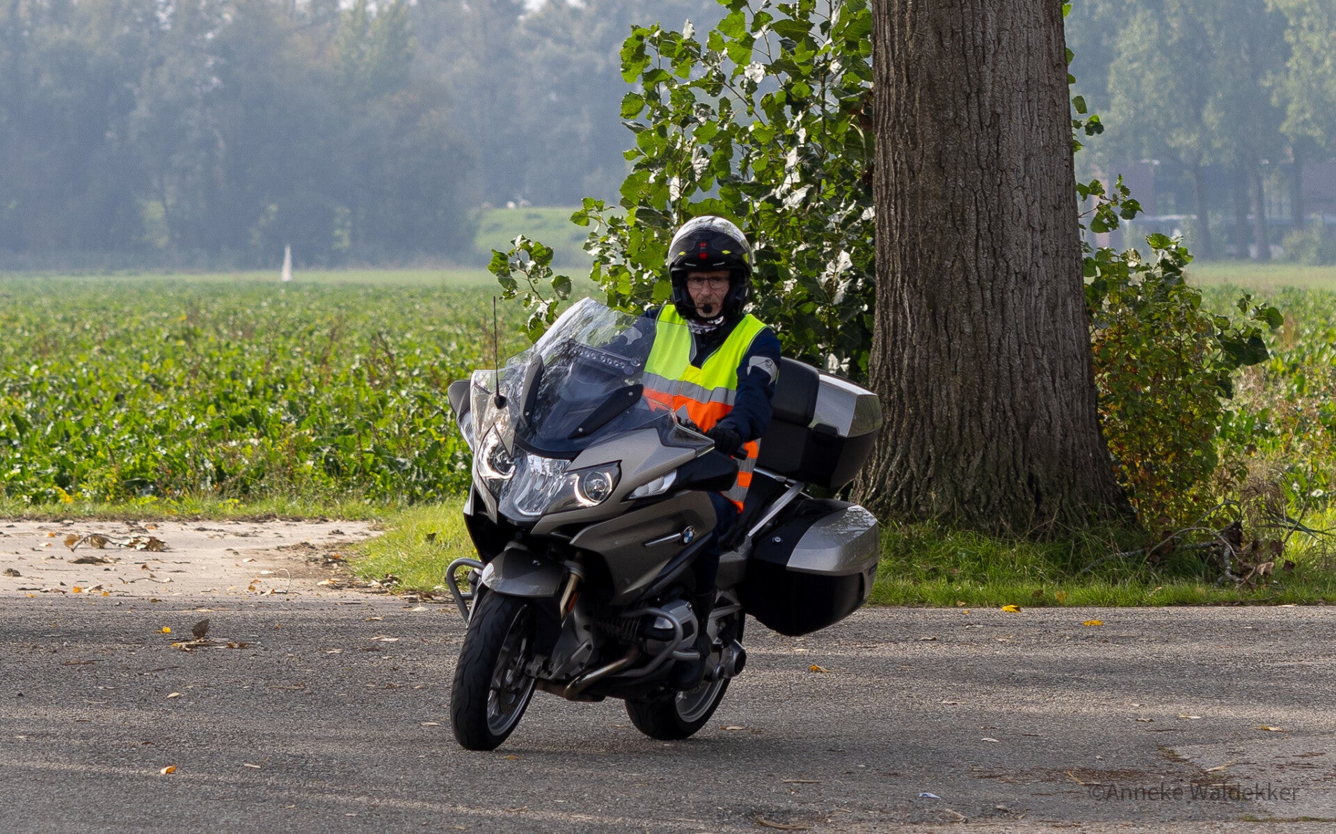 cx7a7601-standard.jpg