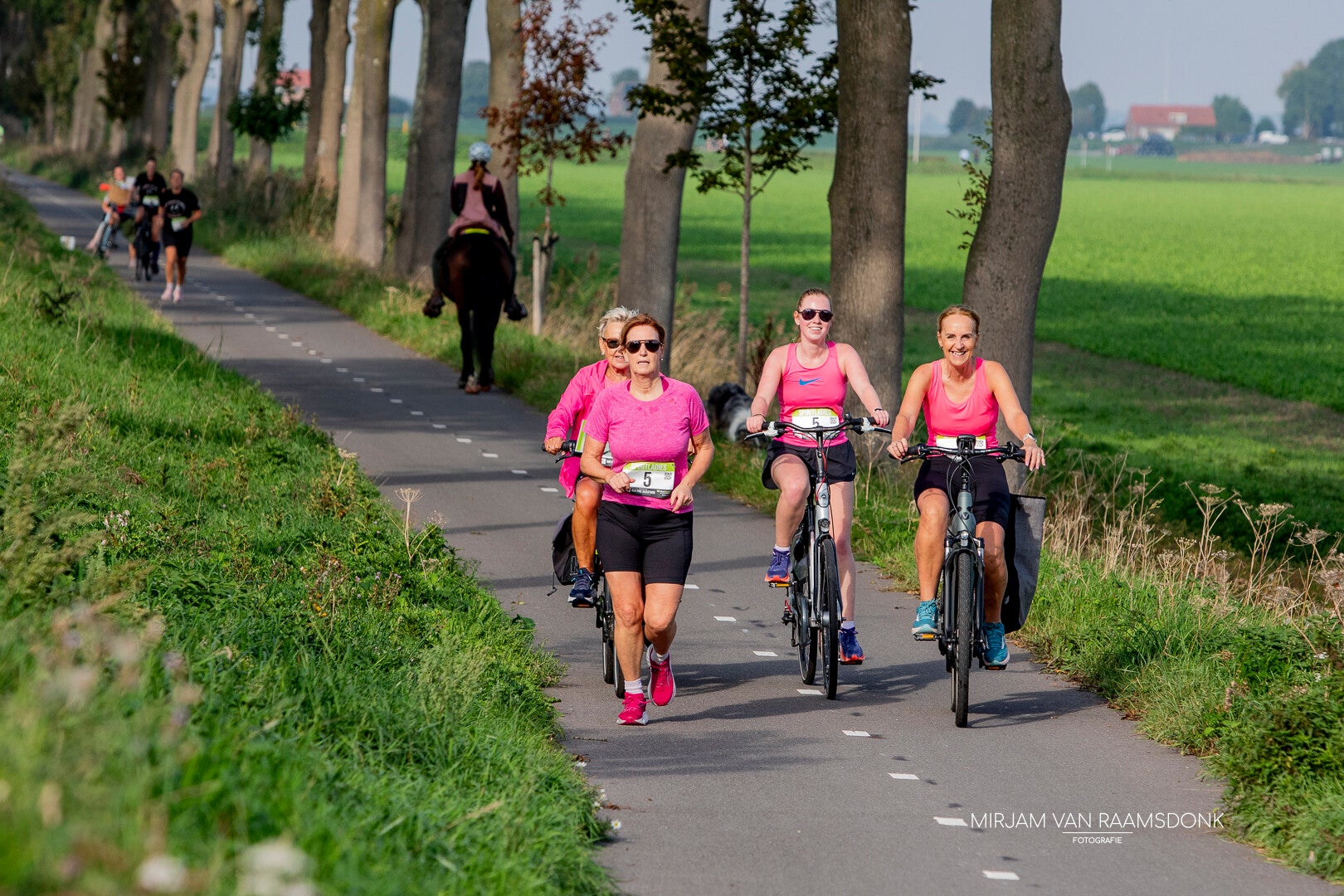 runbikerun-11-standard.jpg