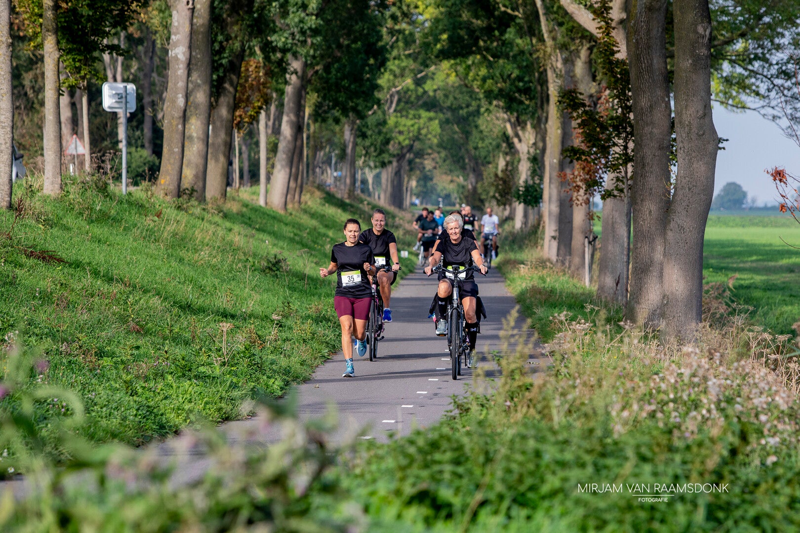 runbikerun-18-standard.jpg