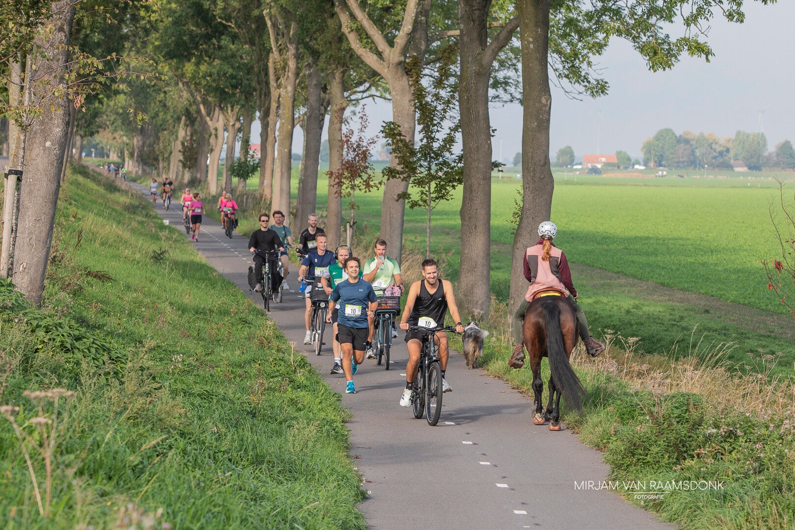 runbikerun-8-standard.jpg