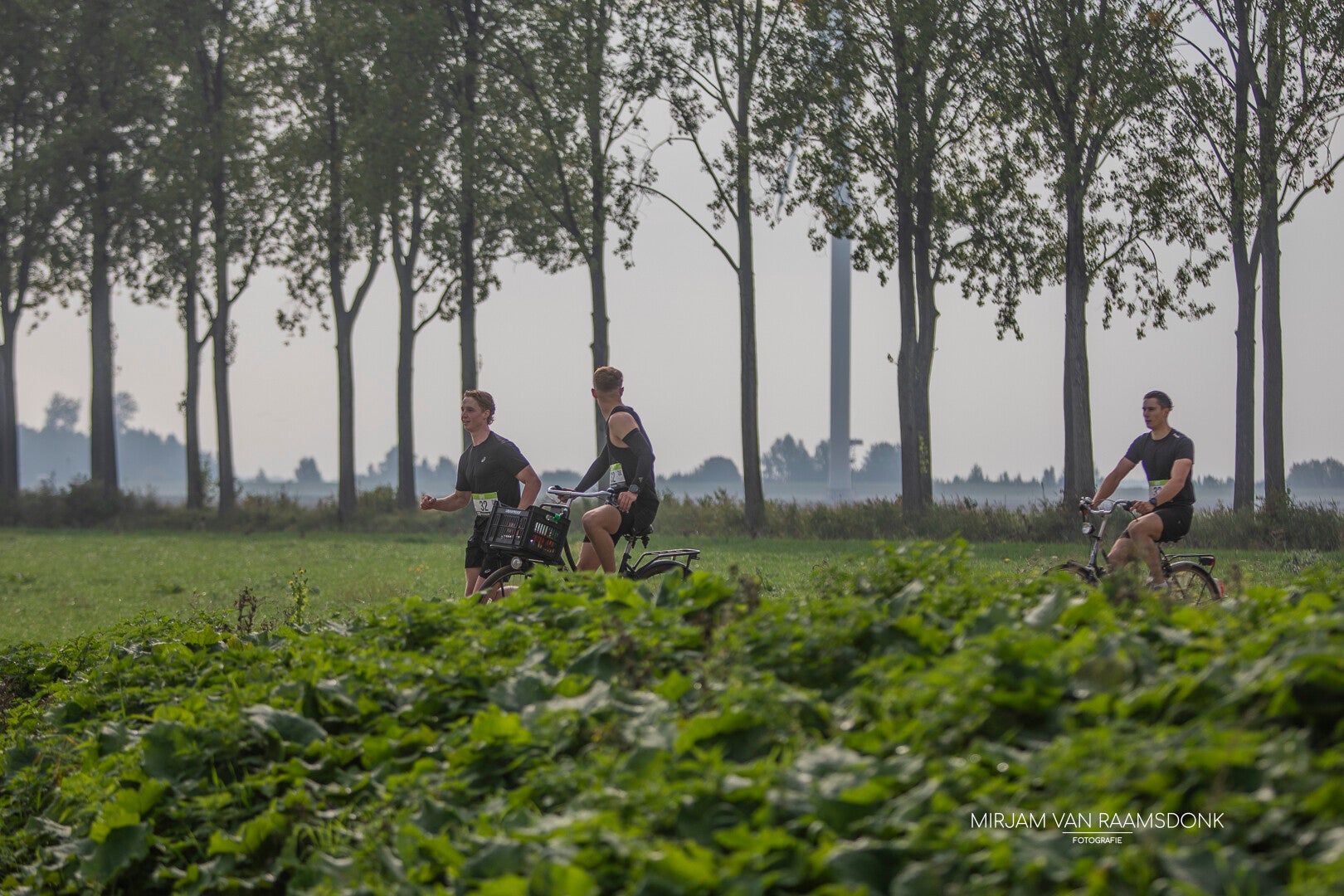 runbikerun-99-standard.jpg