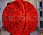 hd art photo