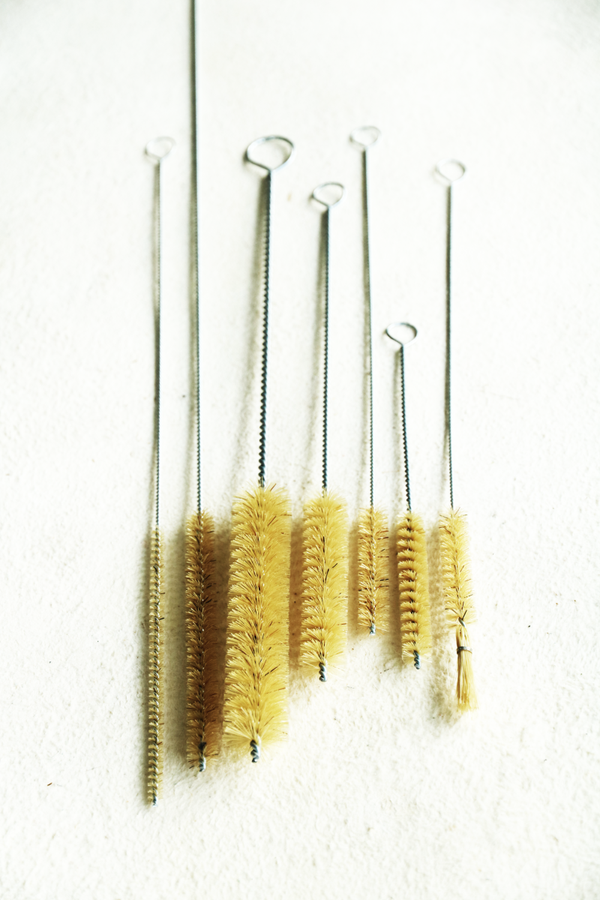 Zottenbürste Borste