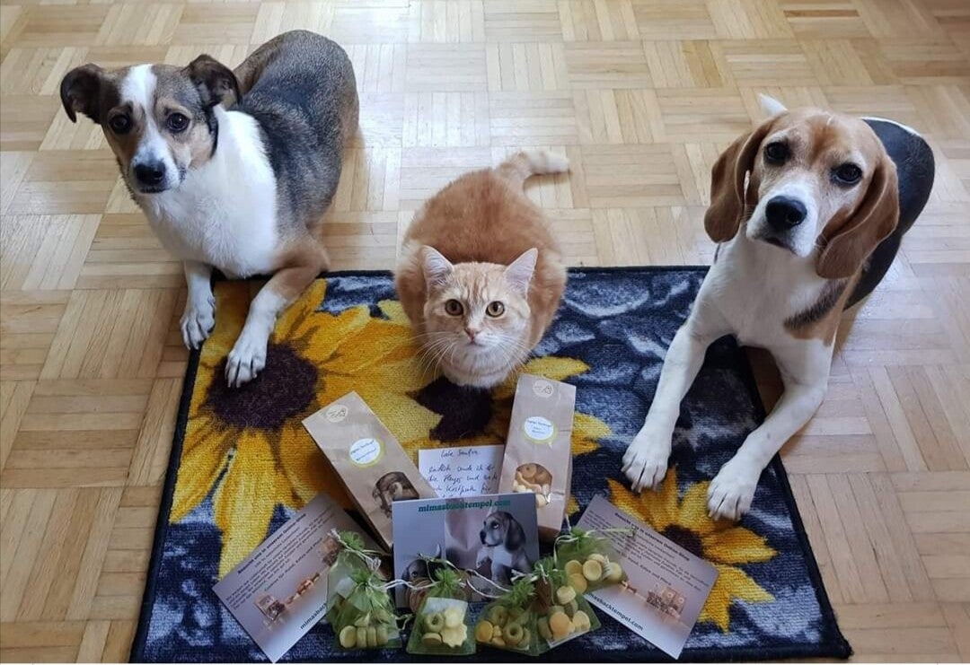 haily-sandra-kekse-standard.jpg