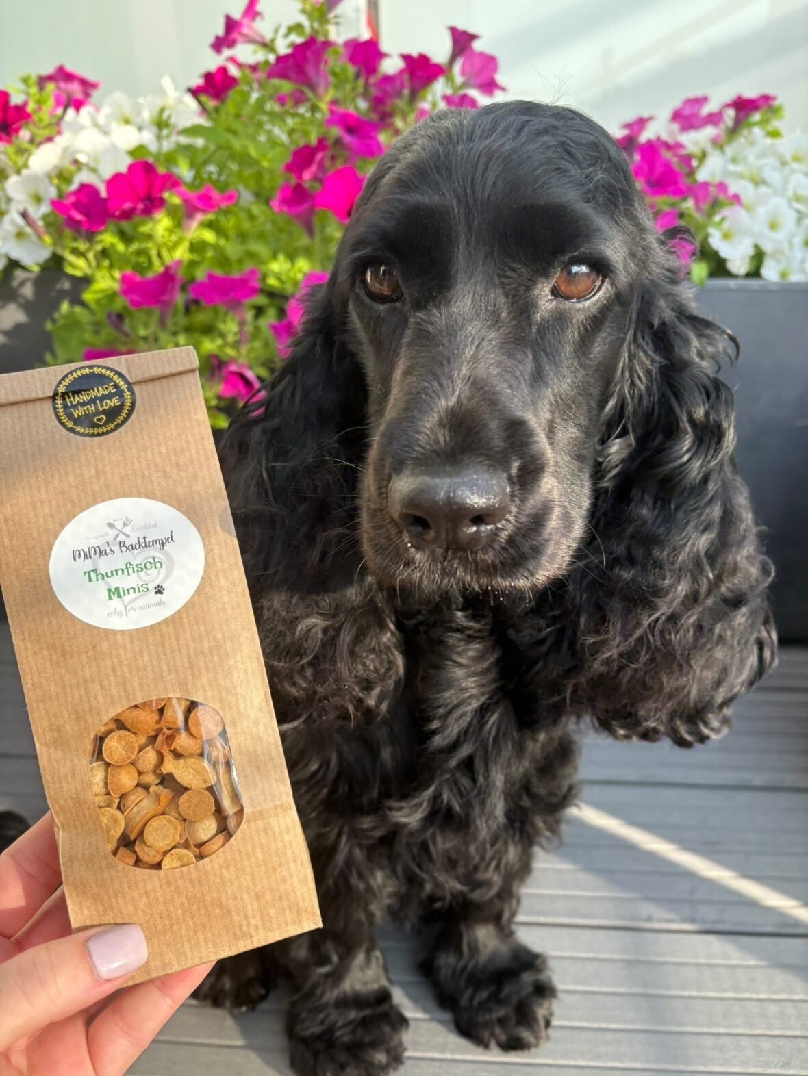 img_20260704_045319_567-standard.jpg