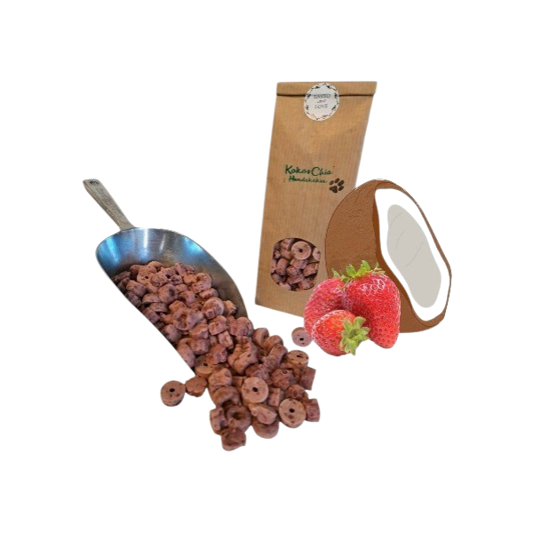 Kokos Chia an Erdbeermus für Hunde – Getreidefreie Superfood-Leckerlis