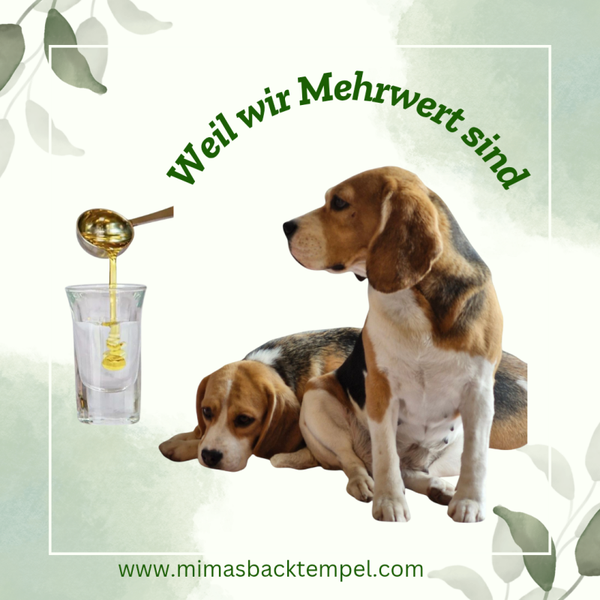 Omega-3 BalanceOil+ – hochwertiges Fischöl mit Olivenöl & Vitamin D3 (100 ml)