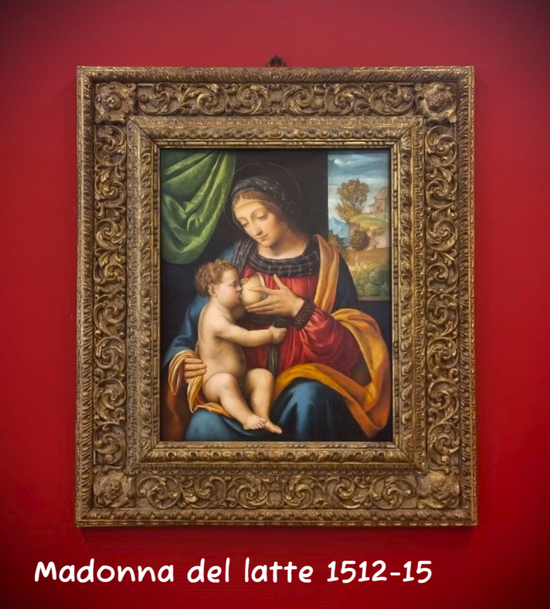 Madonna del Latte al museo Parisi-Valle di Maccagno