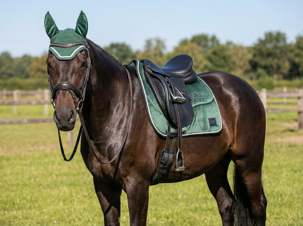 Absorbent memory foam saddle pad