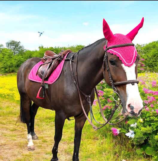 Gp two tone saddle pad sets