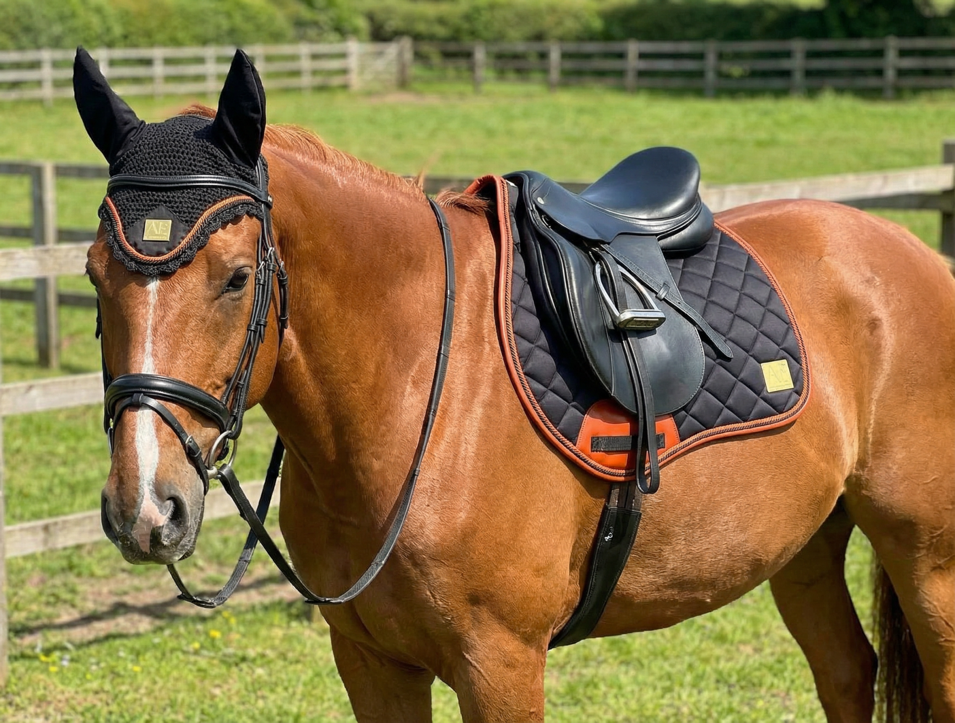 Luxe saddle pad & Ear bonnet set