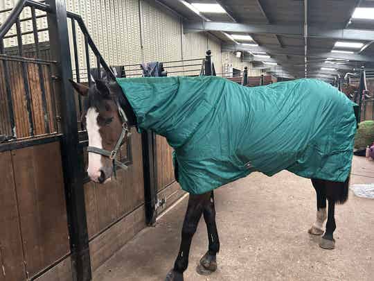 Luxury fur lined turn out rugs 70g