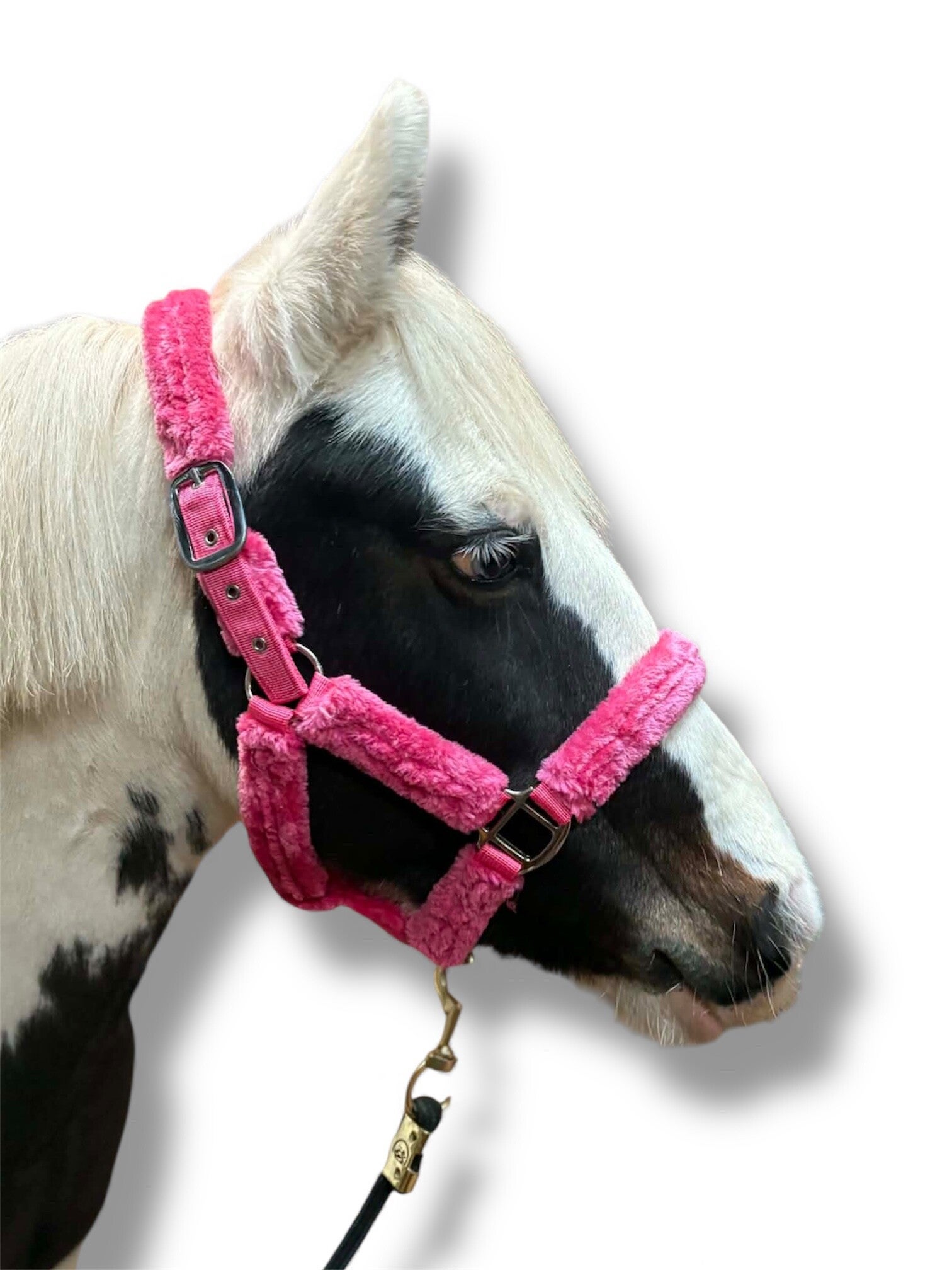 New fur soft touch head collars