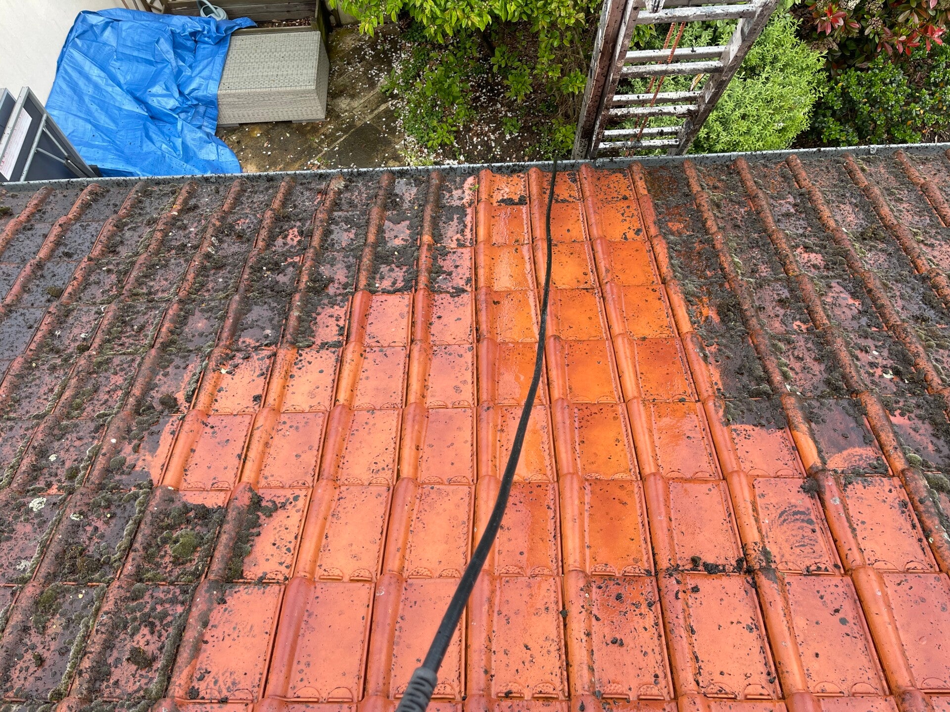 démoussage toiture professionnel Antony