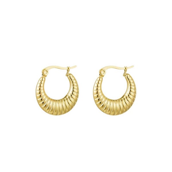 Oorbelringen met print