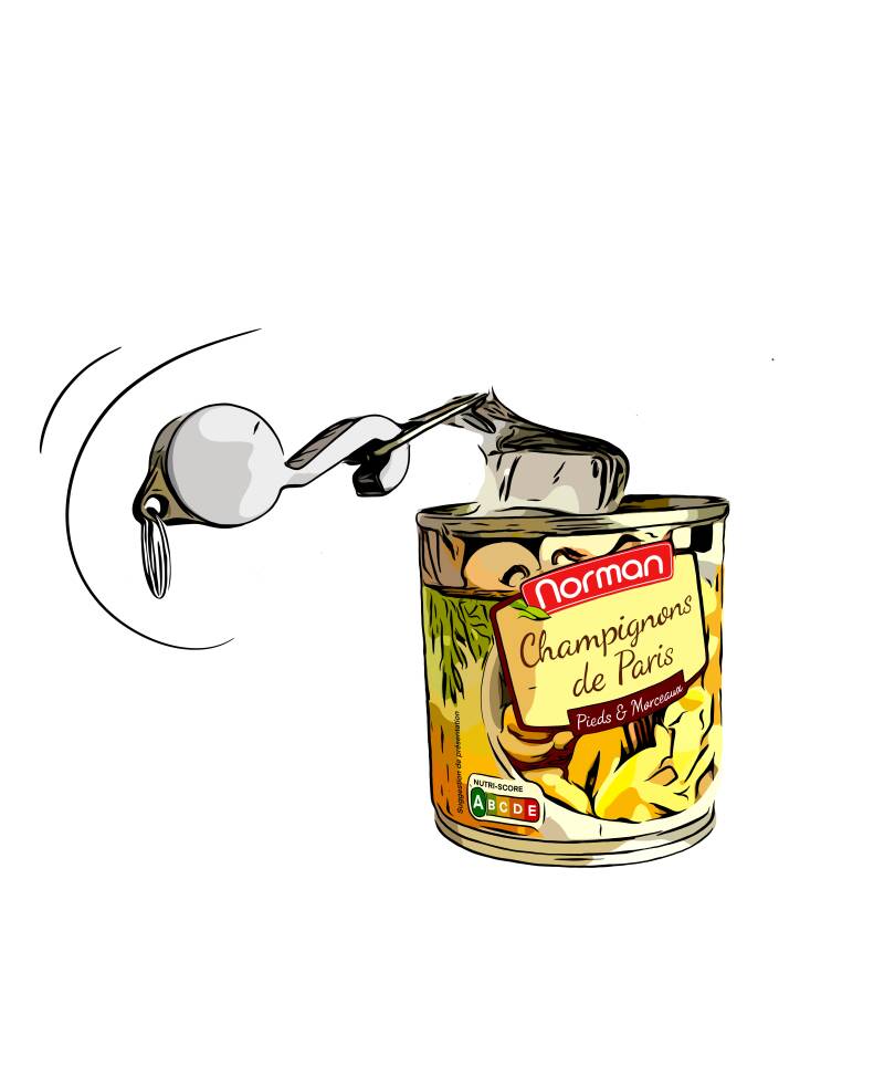 Boîte de champignons