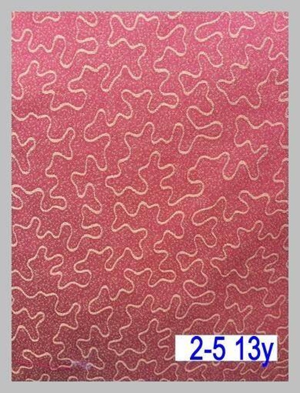 13 y geo 2-5