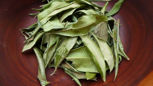 Tisane Finess  Khady TOURE