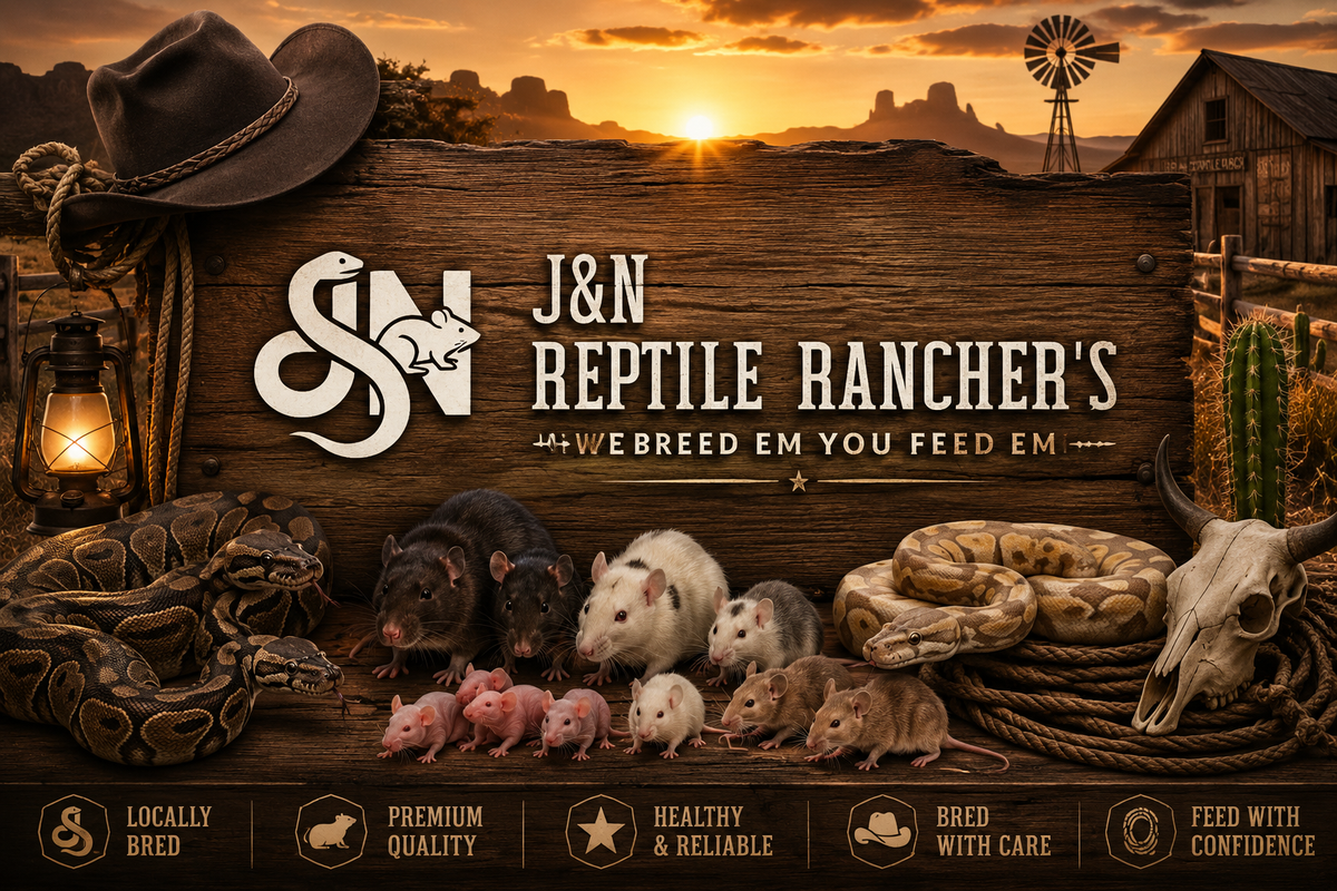 HOME/ J&N Reptile Ranchers