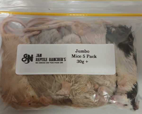 Jumbo Mice 5 per pkt