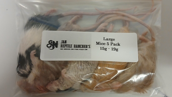 Large Mice 5 per pkt