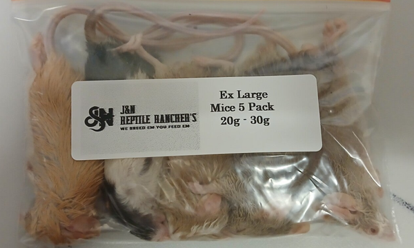 Ex-large Mice 5 per pkt