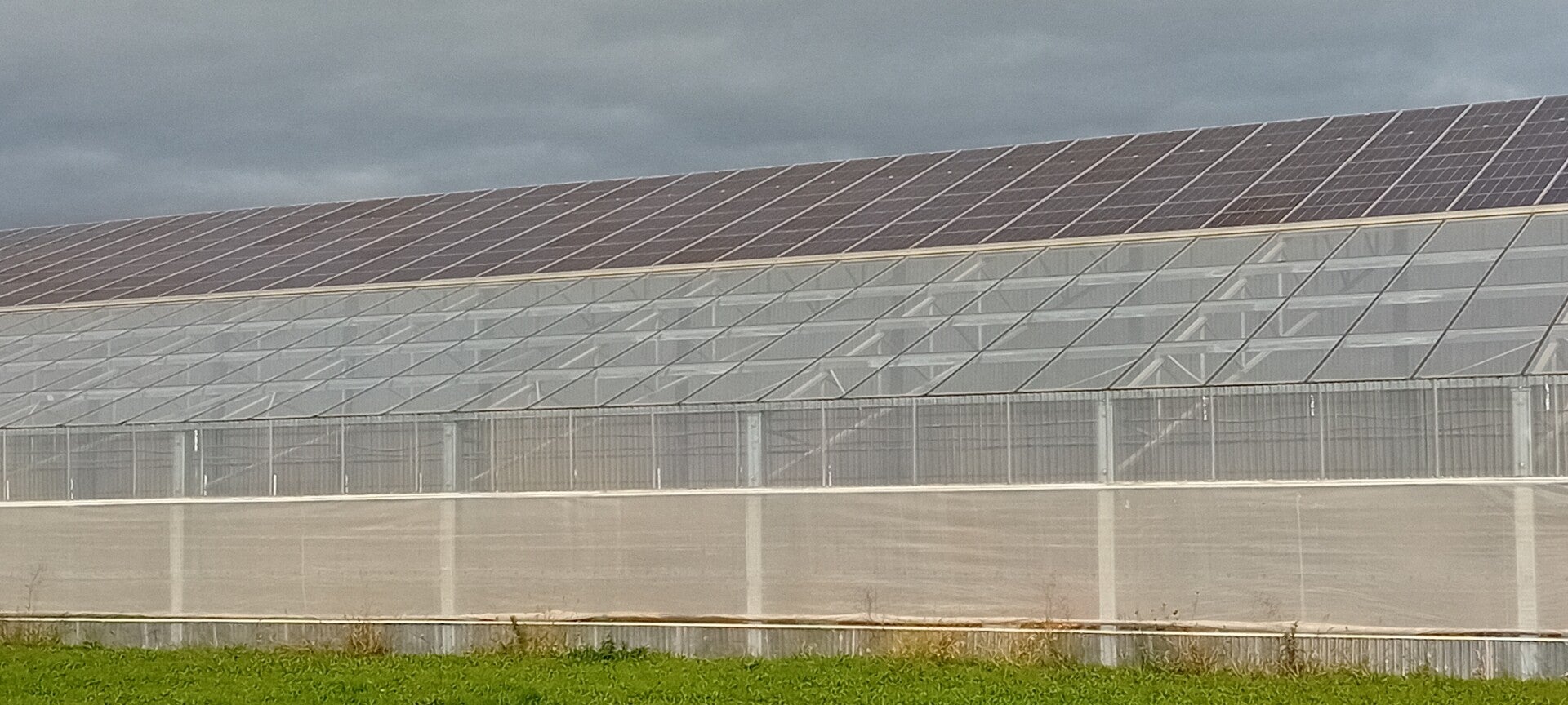 Serre tunnel photovoltaique