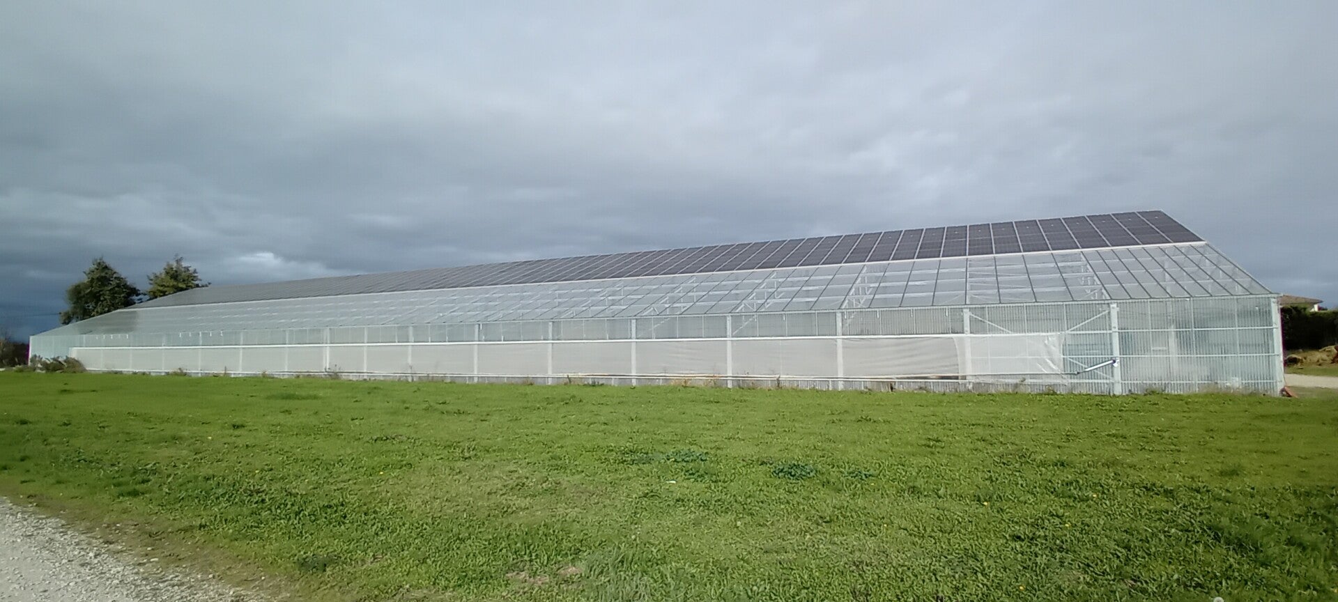 Serre tunnel photovoltaique