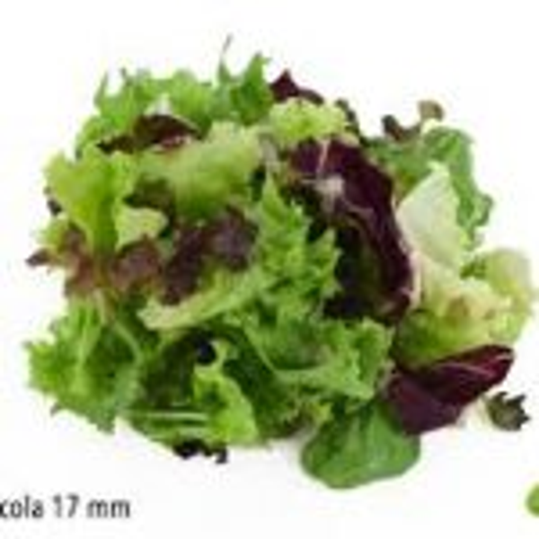 Sla mix AGF st-schaal