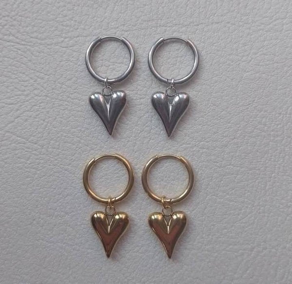 Stainless steel hartjes oorbellen
