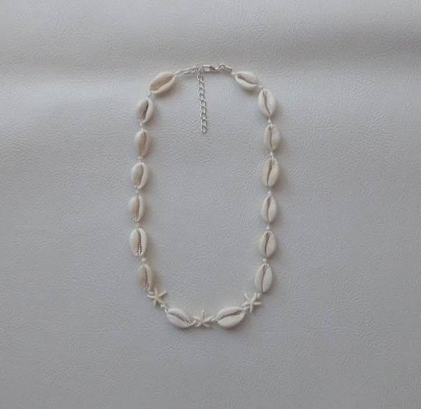 Kauri / zeester schelpen ketting