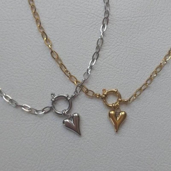 Stainless steel boeislotjes hartjes ketting